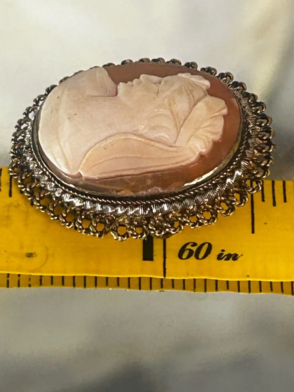 Vintage Cameo Brooch or Pendant with Gold Filled Accents